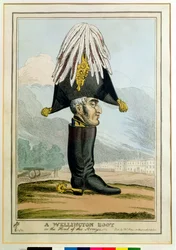 Uno stivale Wellington - o il capo dell